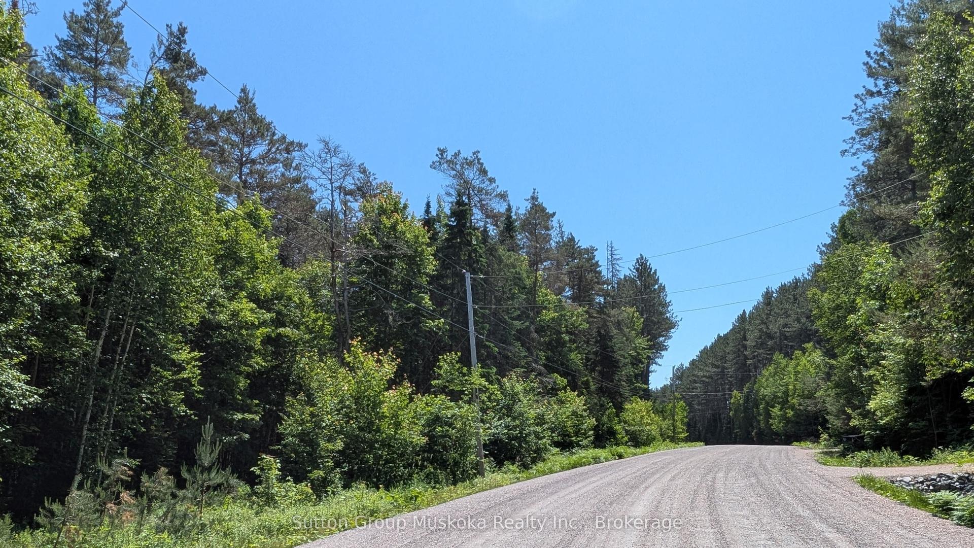 Lot 1 Red Pine Trail — photo 1