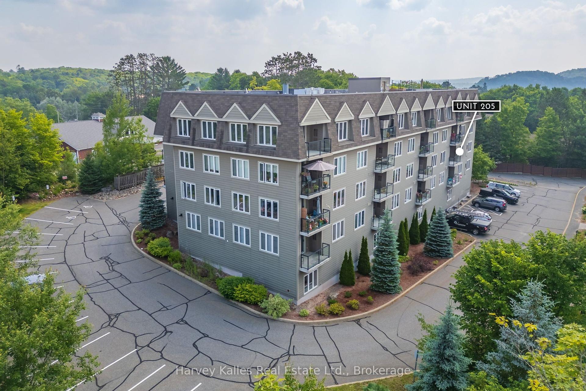 26 Dairy Lane 205 #205 — photo 1