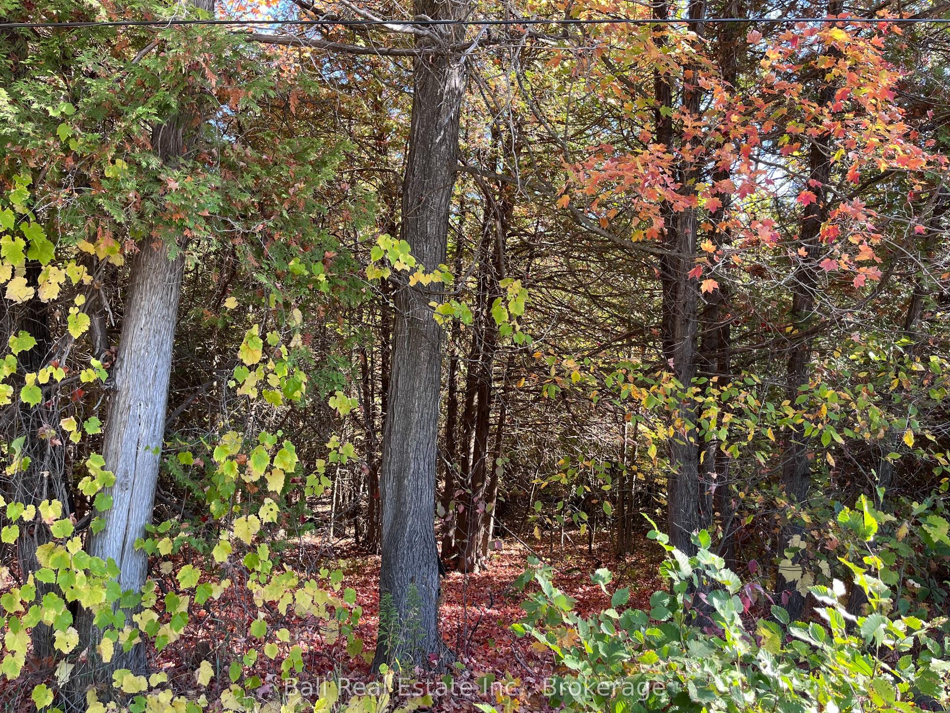 0 KOA Road, Marmora and Lake — Land for sale, photo 1