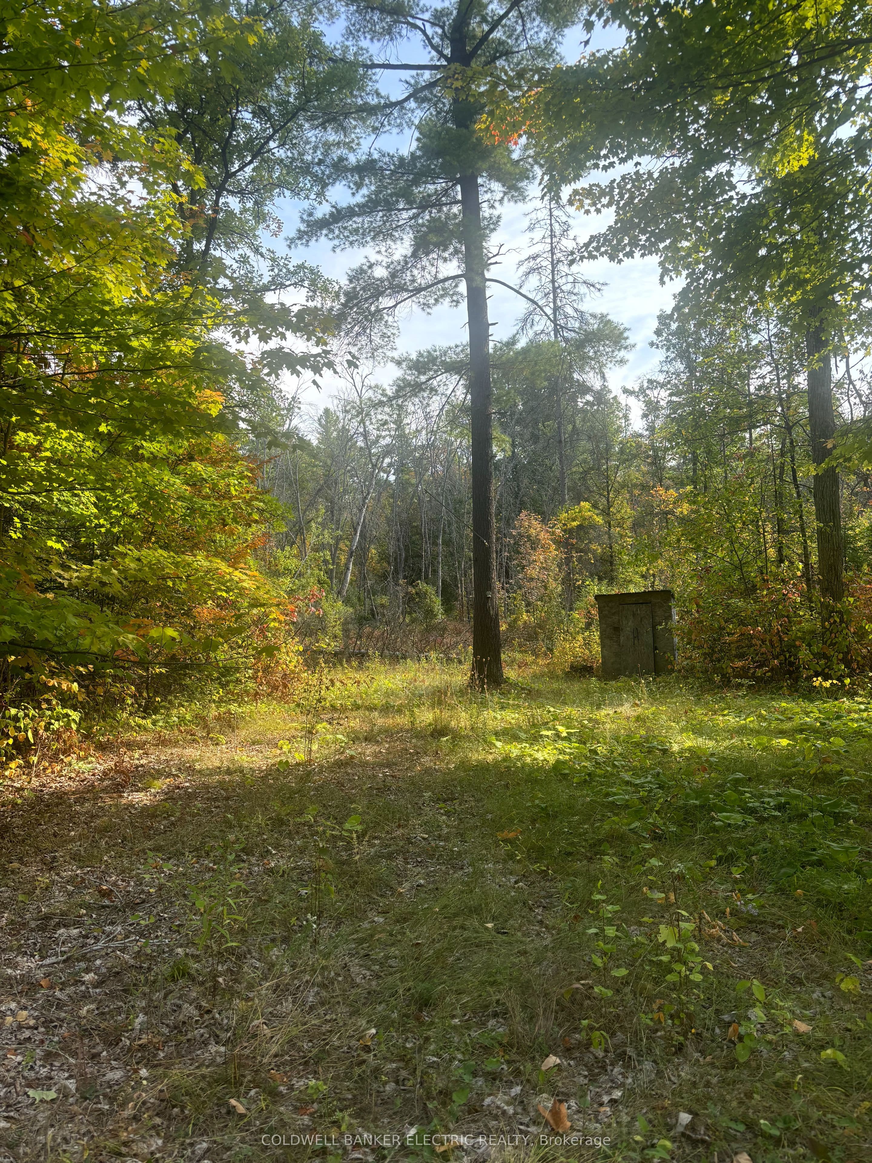 0 Pineview Court — photo 1