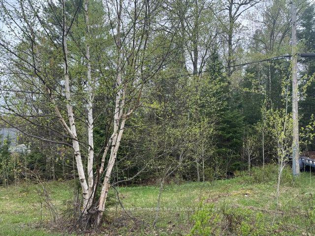 00 W Highway 518 West Highway, McMurrich/Monteith — Land for sale, photo 1
