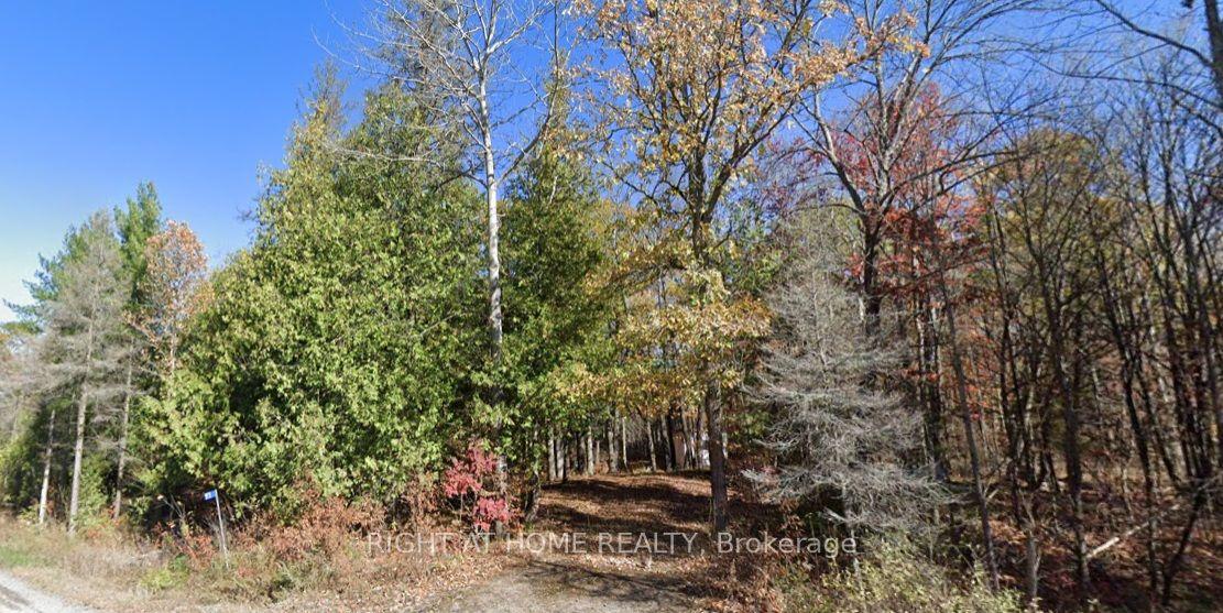 93 McCleary Road — photo 1