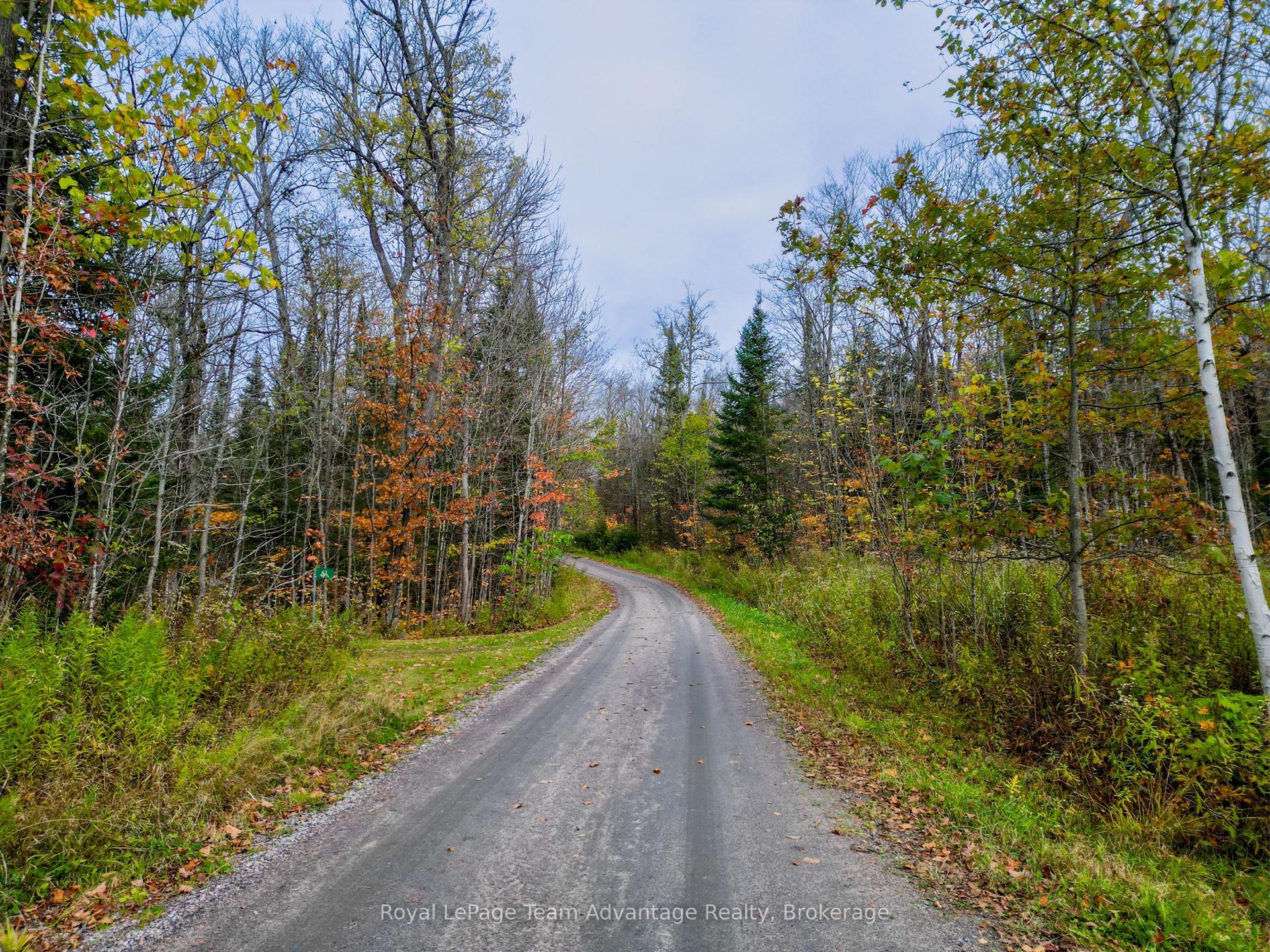 20 Quinn Road, Whitestone — Land for sale, photo 1