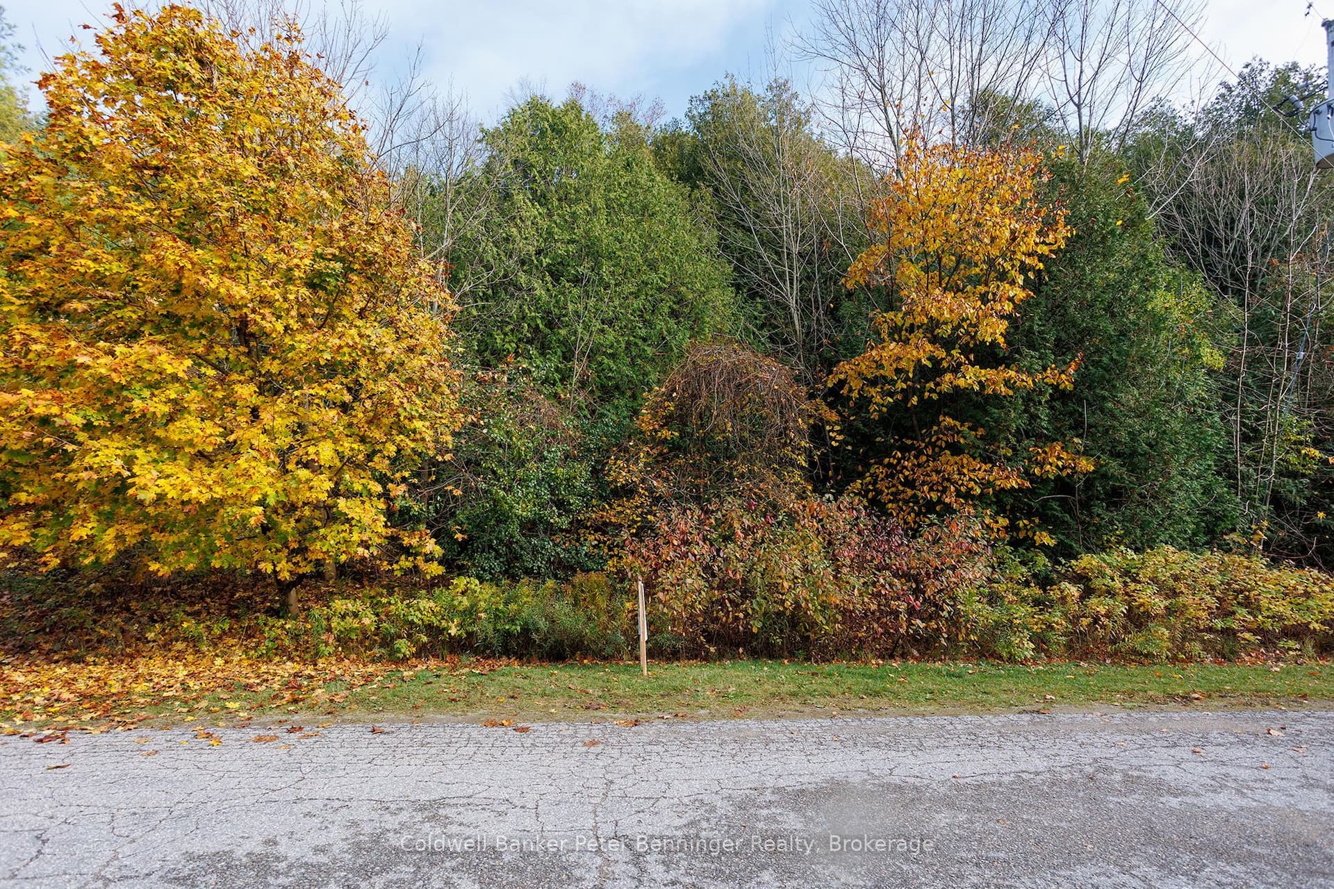 LT 17 PL 594 COURTNEY Court S — photo 1