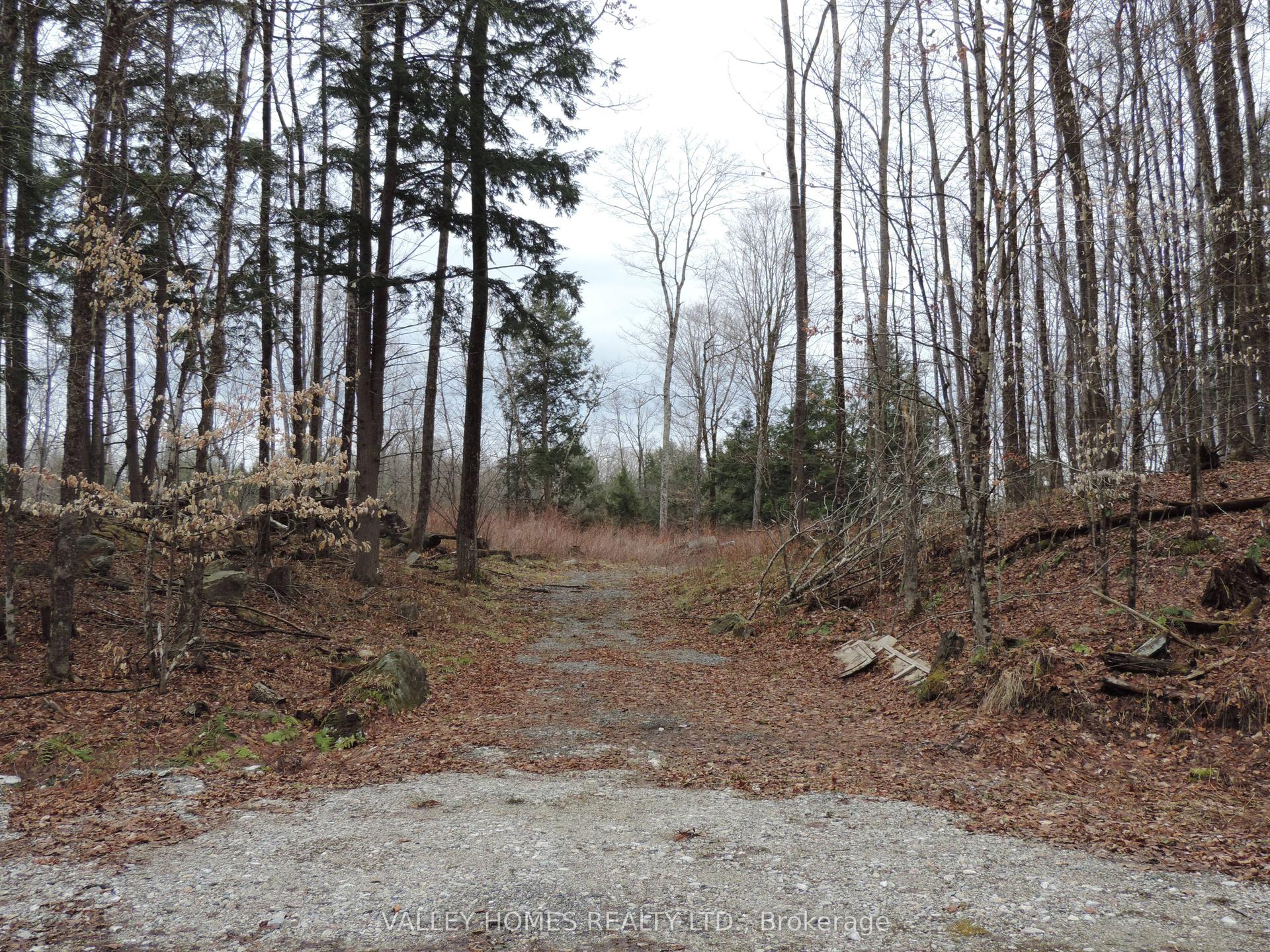 L3 - 283 HARDING Road — photo 1