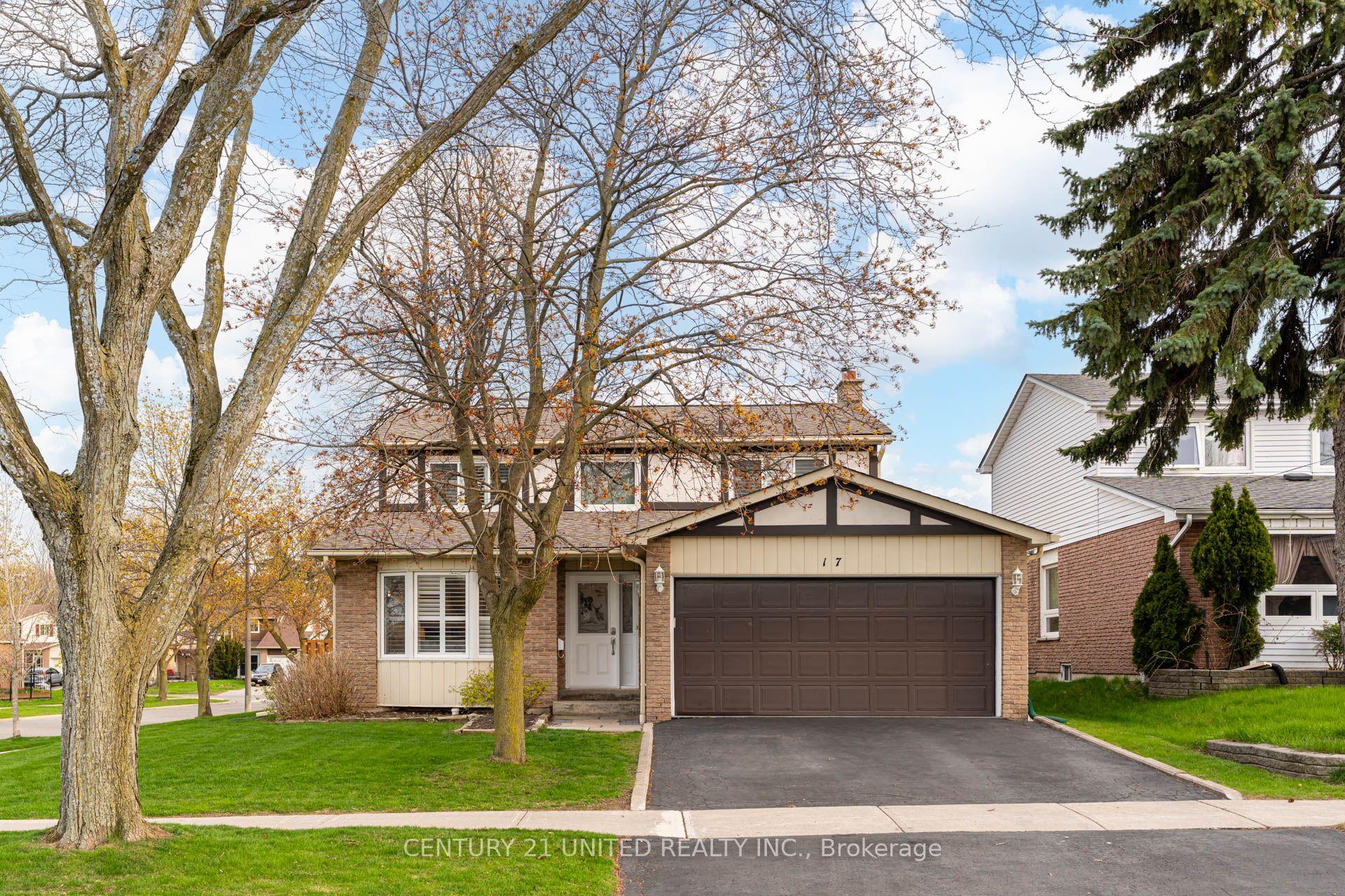 17 Nelson Street — photo 1