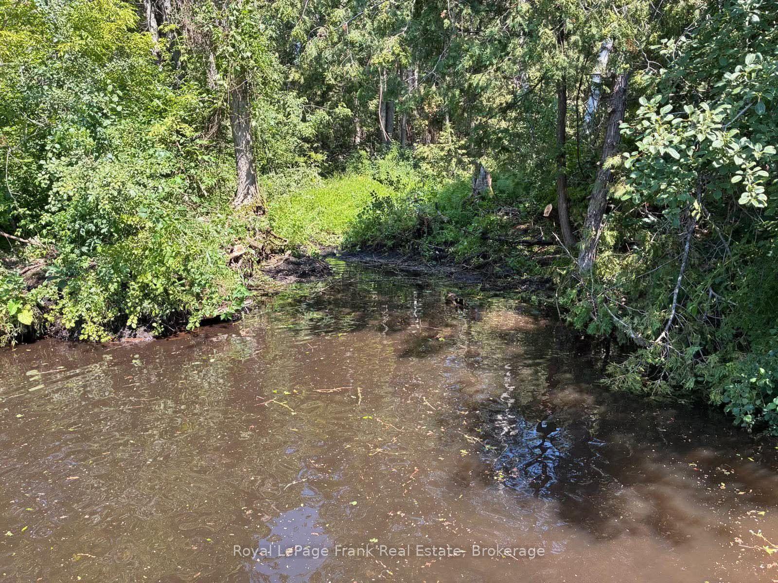 0 Balsam Lake Drive, Kawartha Lakes — Land for sale, photo 1