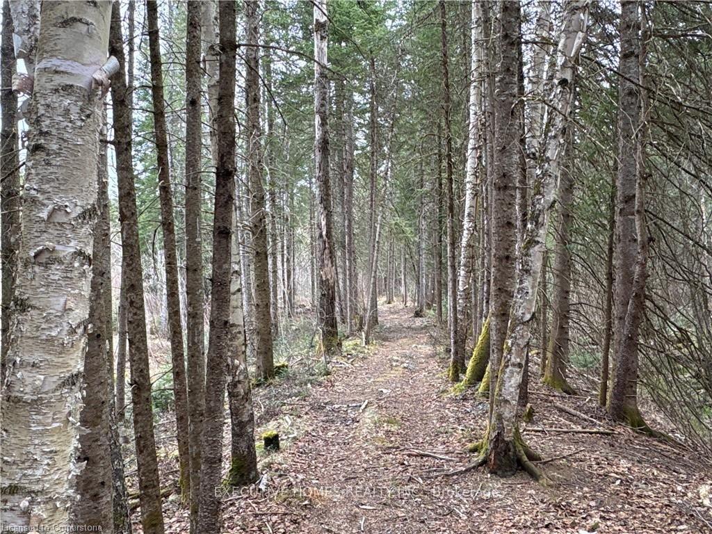1014 BULRUSH Trail, Highlands East — Land for sale, photo 1