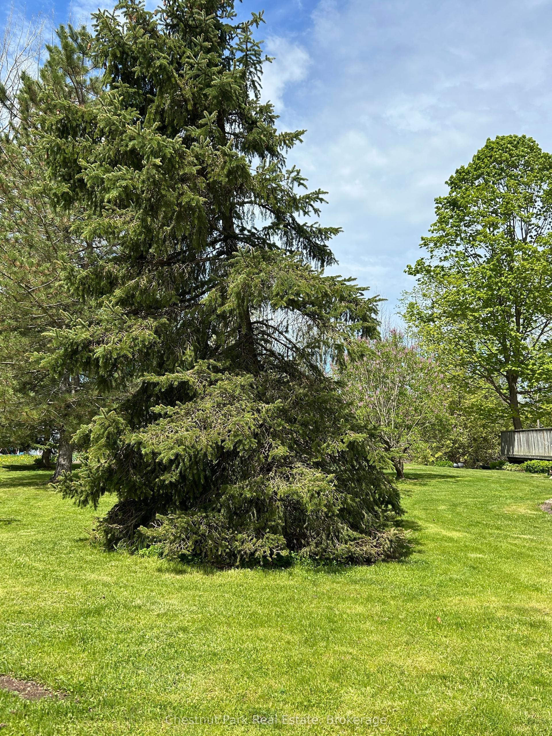 13 Pollard Drive — photo 1