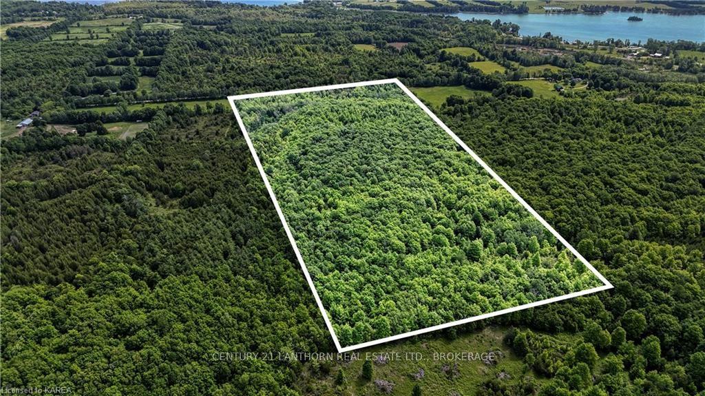 LOT 8 WADDELL Road — photo 1