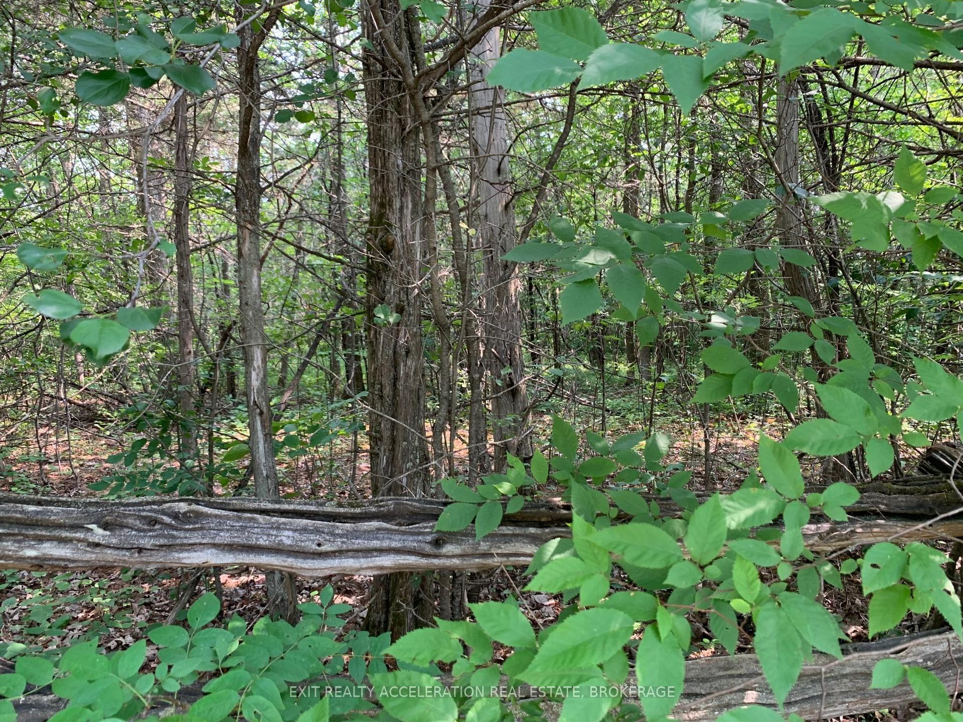 0 Denridge Road, Greater Napanee — Land for sale, photo 1