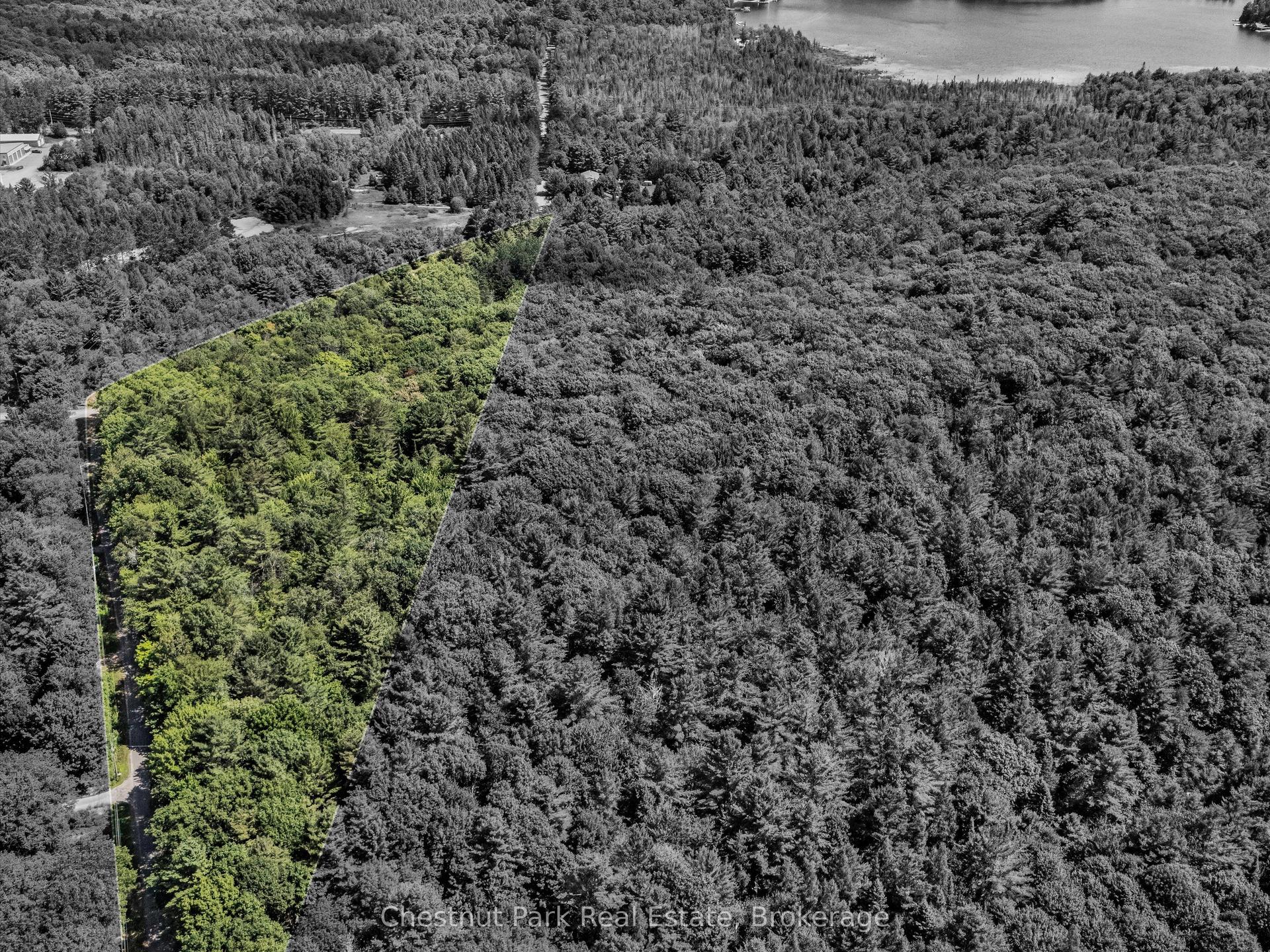 0 Langford Road, Lake of Bays — Land for sale, photo 1