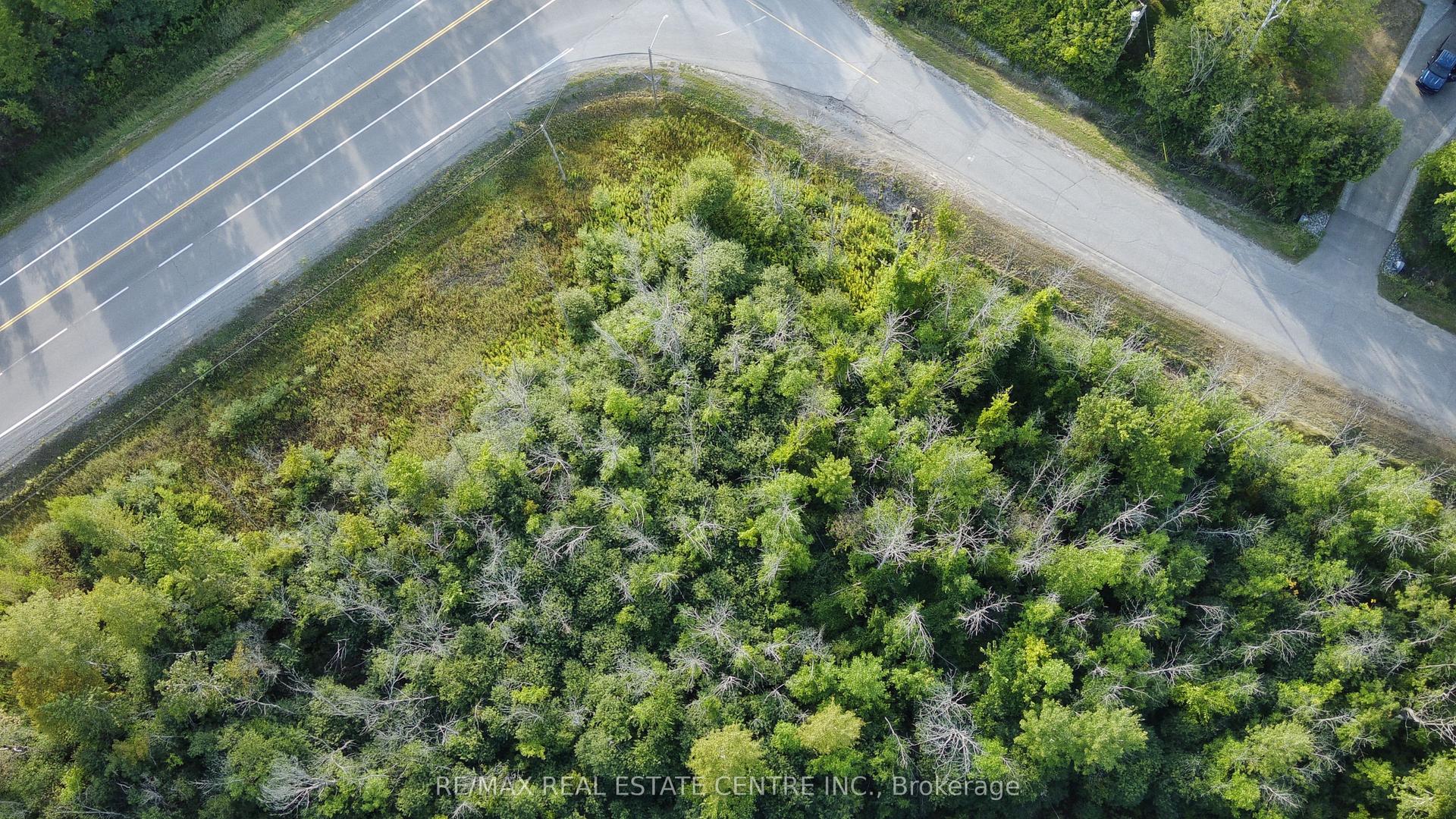 41 CONCESSION 4 Road 41 #41, Manotick - Kars - Rideau Twp and Area — Land for sale, photo 1