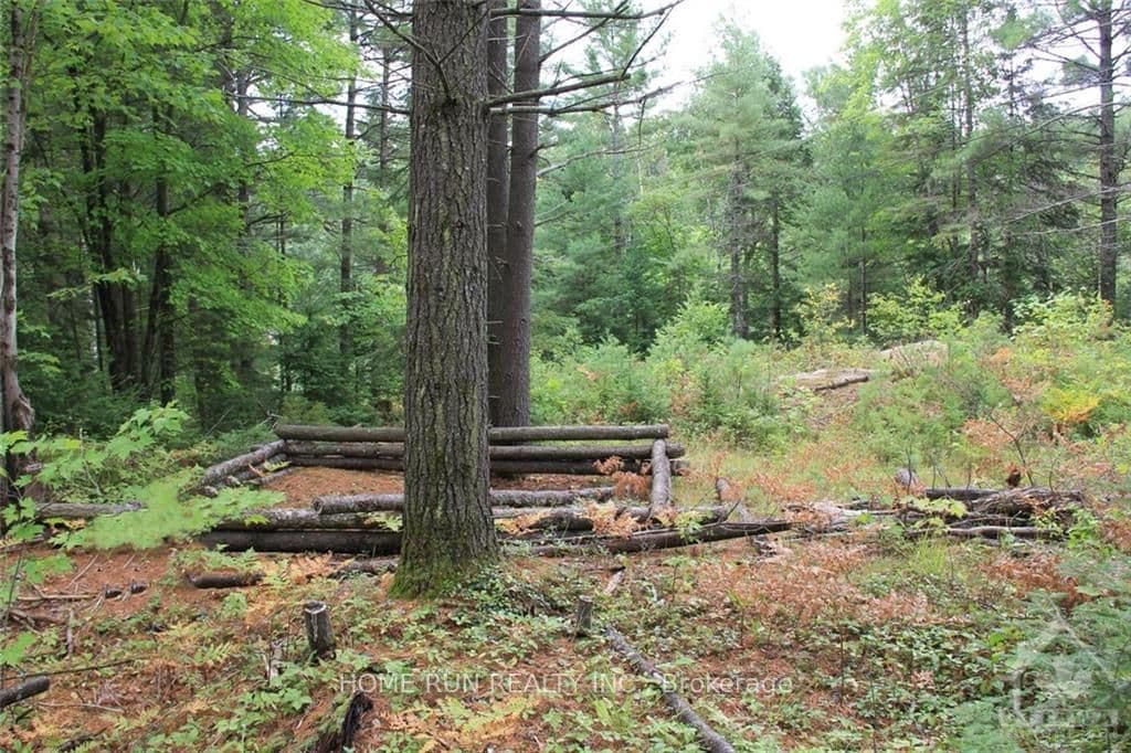 1068A JACQUES BAY Road — photo 1