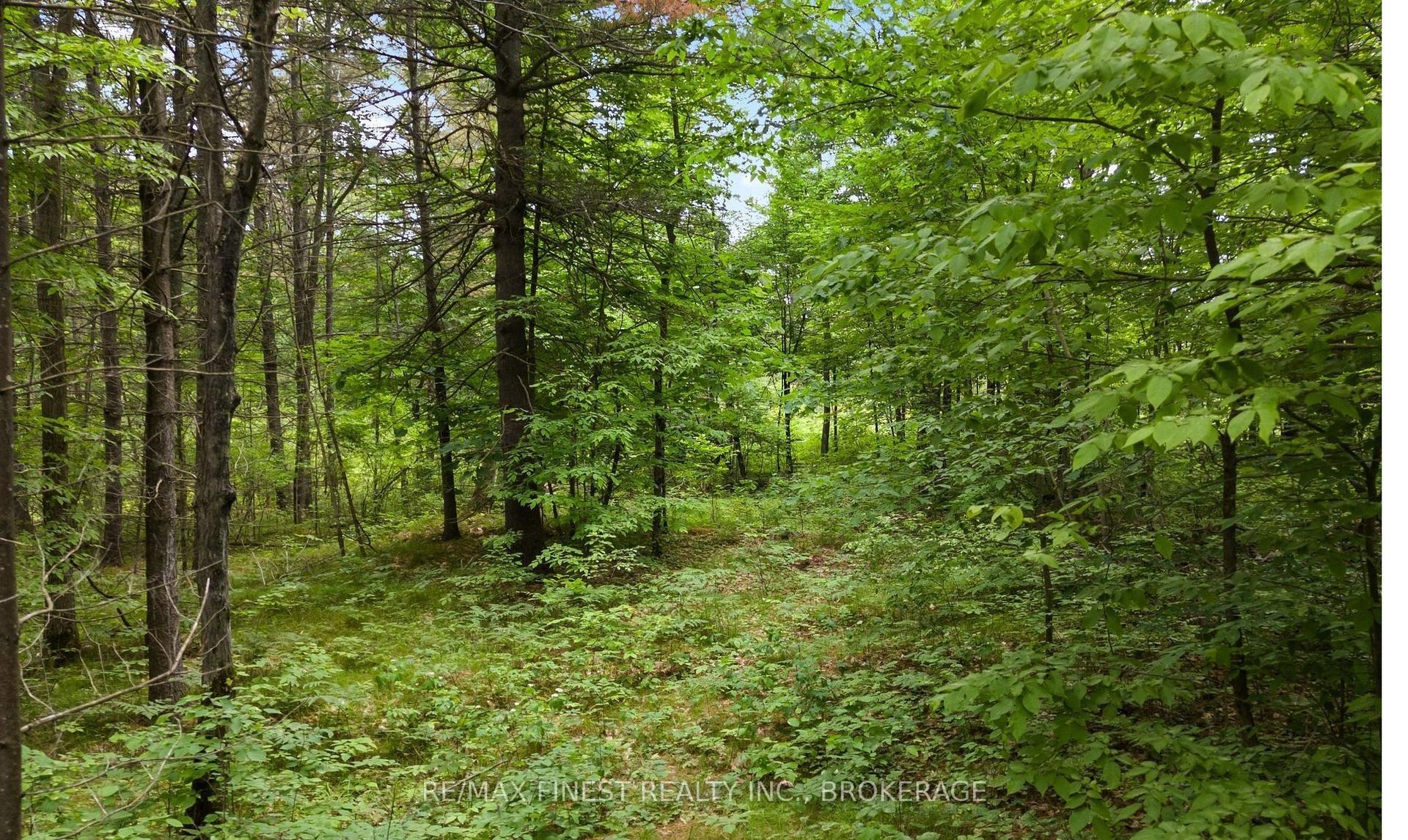 Lot 16 Echo Lake Road, Frontenac — Land for sale, photo 1