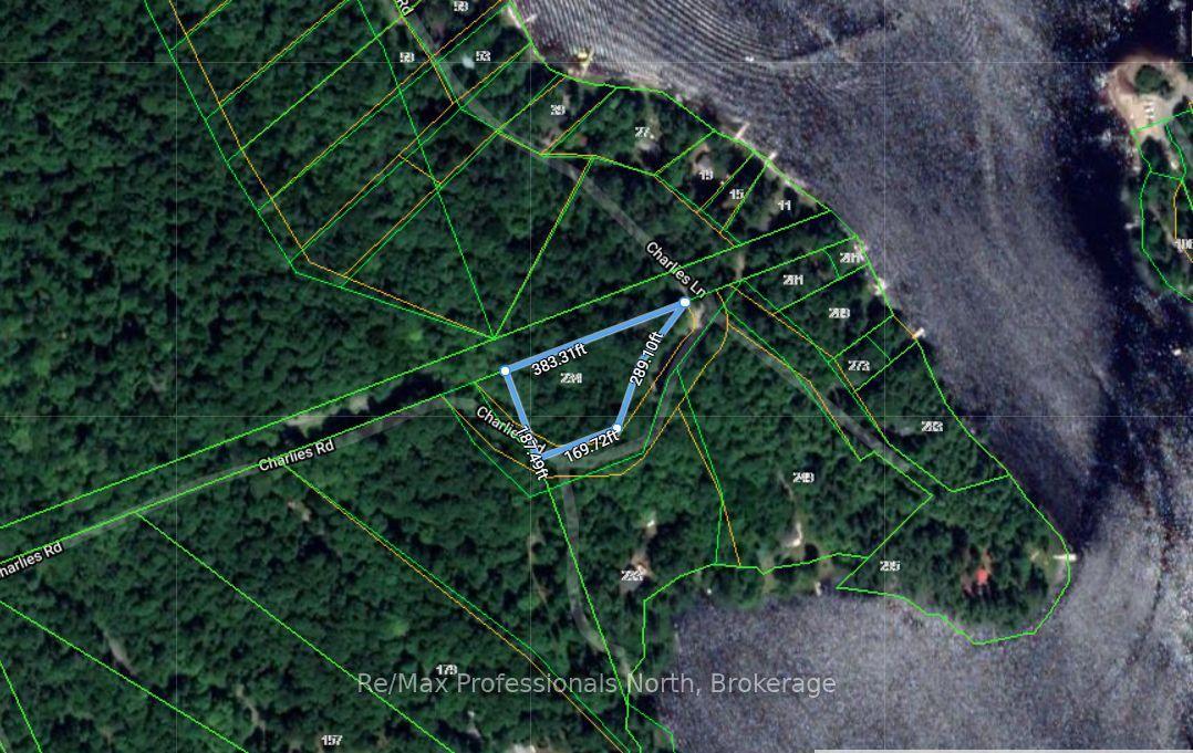 234 LONGS LAKE Road — photo 1