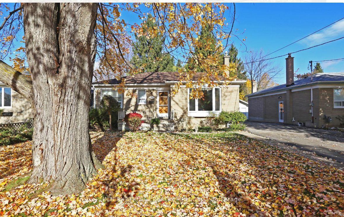 76 Rockport Crescent Bsmt #Bsmt, Richmond Hill — Detached for lease, photo 1