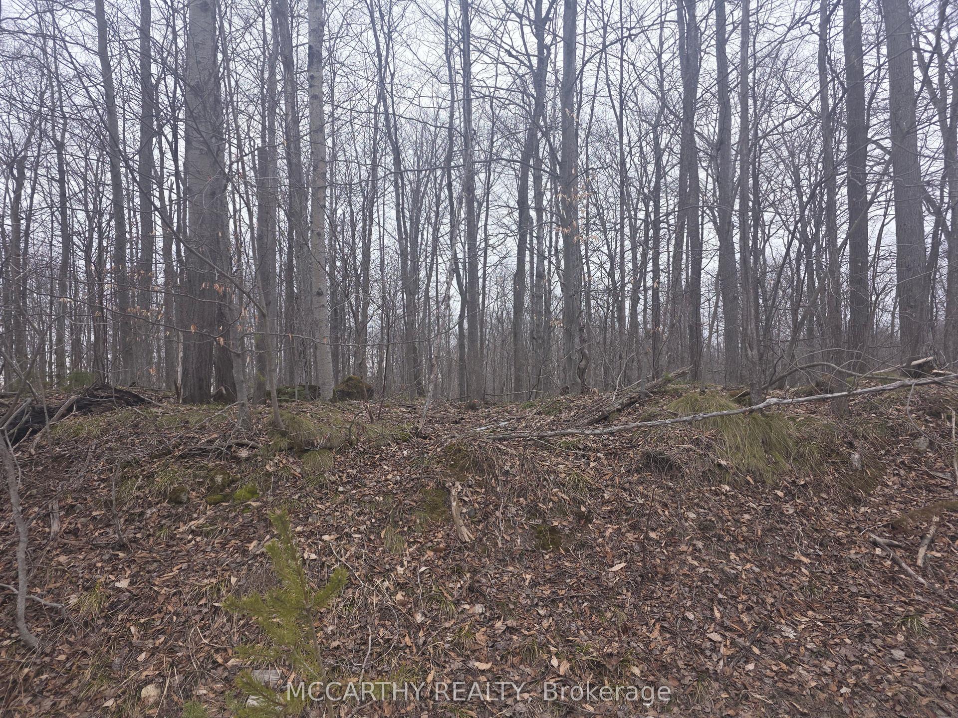 Lot 9 PT LT 25 — photo 1