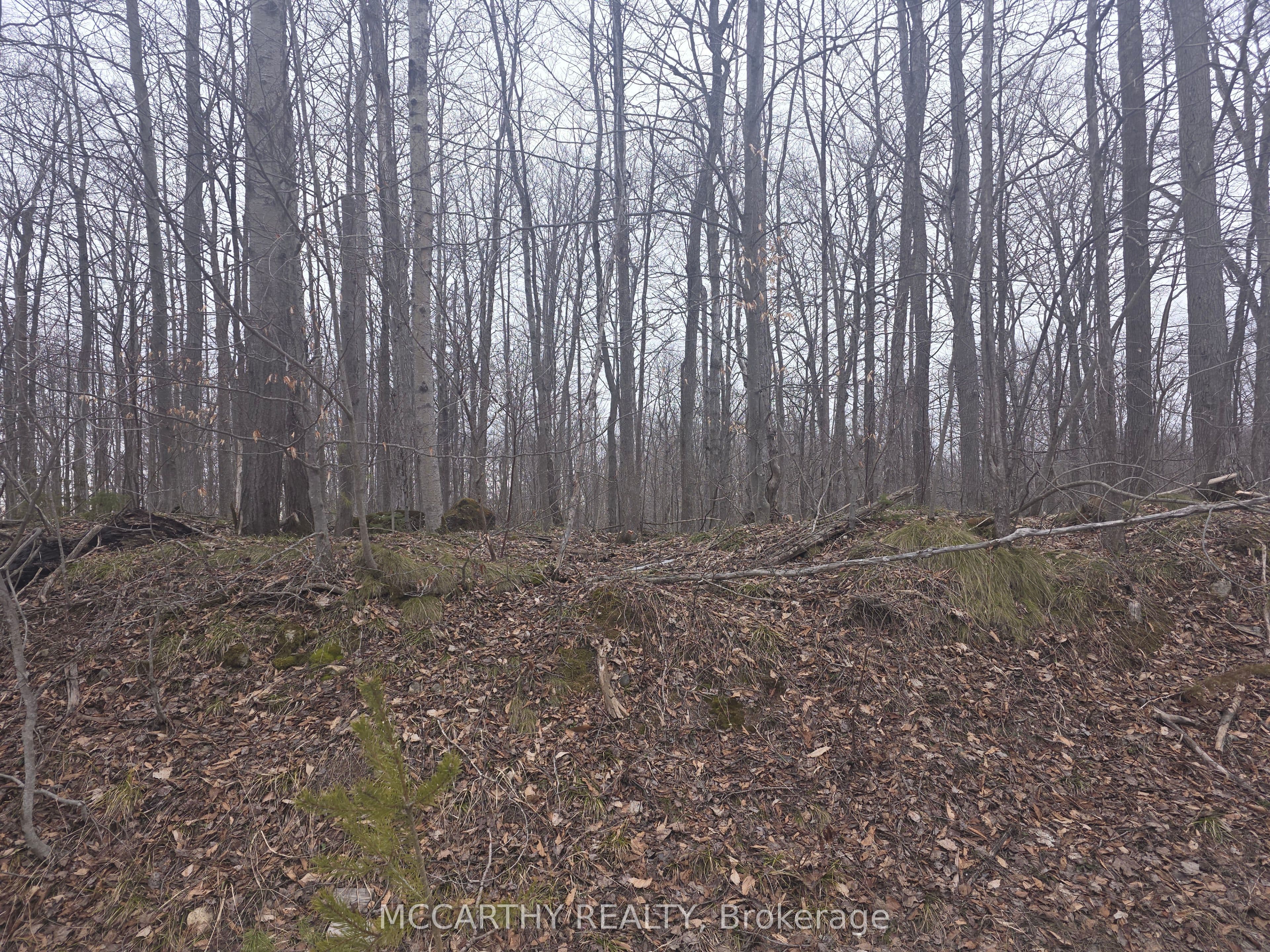 Lot 9 PT LT 25 — photo 1