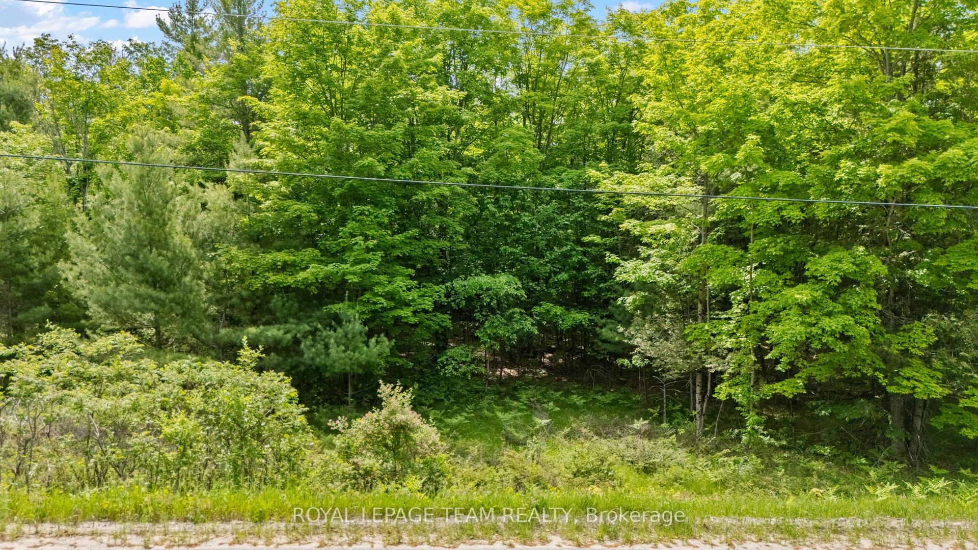 00 Maple Street — photo 1