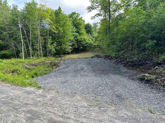 4 McNaughts Road — photo 1