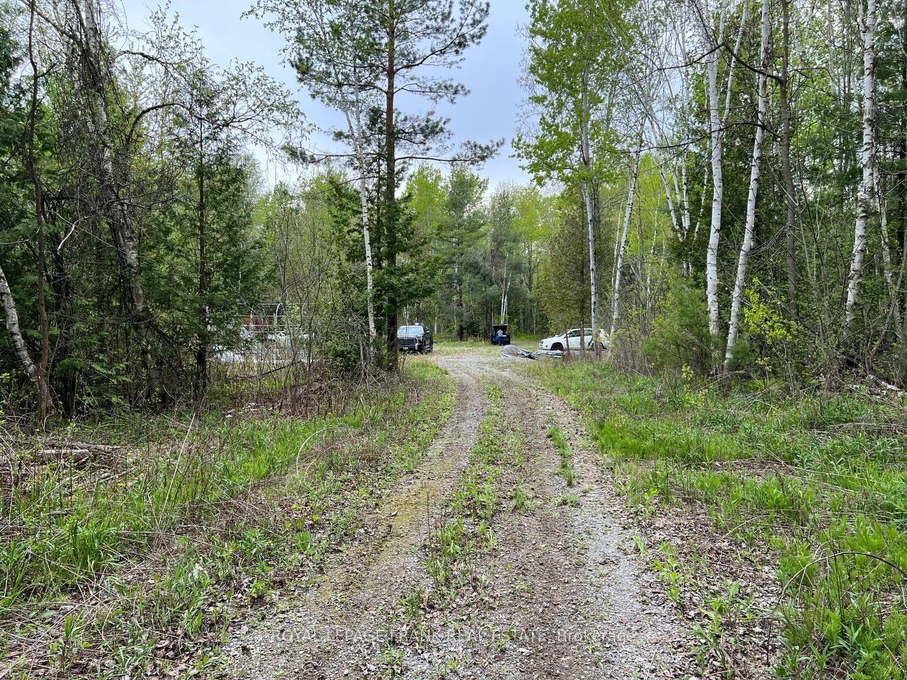. Rutherford Road — photo 1