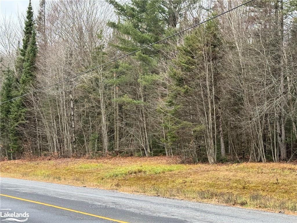LOTS 1 — photo 1