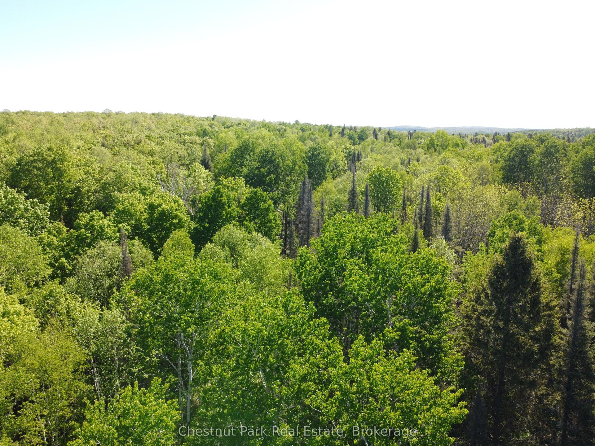 CON 13, Chisholm — Land for sale, photo 1