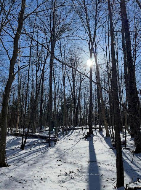 440 Riding Ranch Road, Machar — Land for sale, photo 1