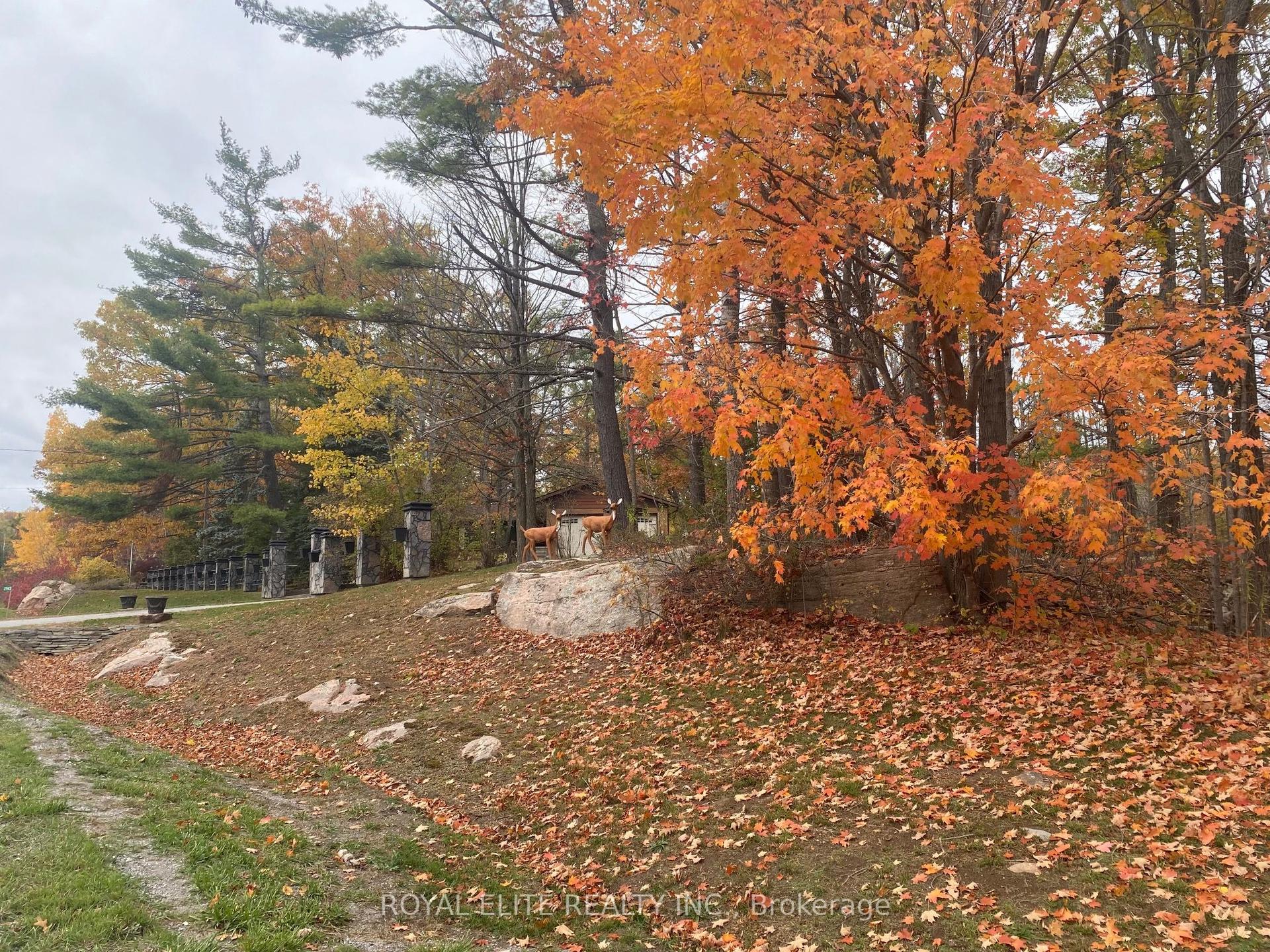 2943 County Rd 36 N/A — photo 1