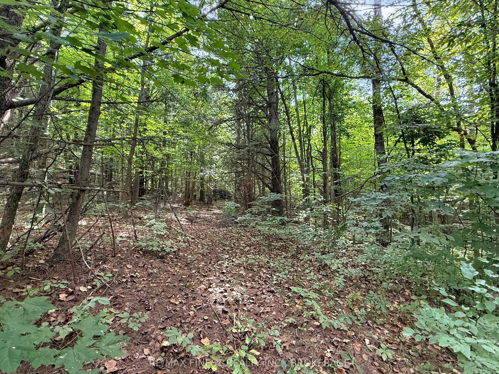 4900 County Rd 4, Stone Mills — Land for sale, photo 1