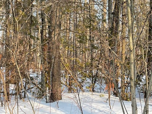 0 Sugarbush Crescent — photo 1