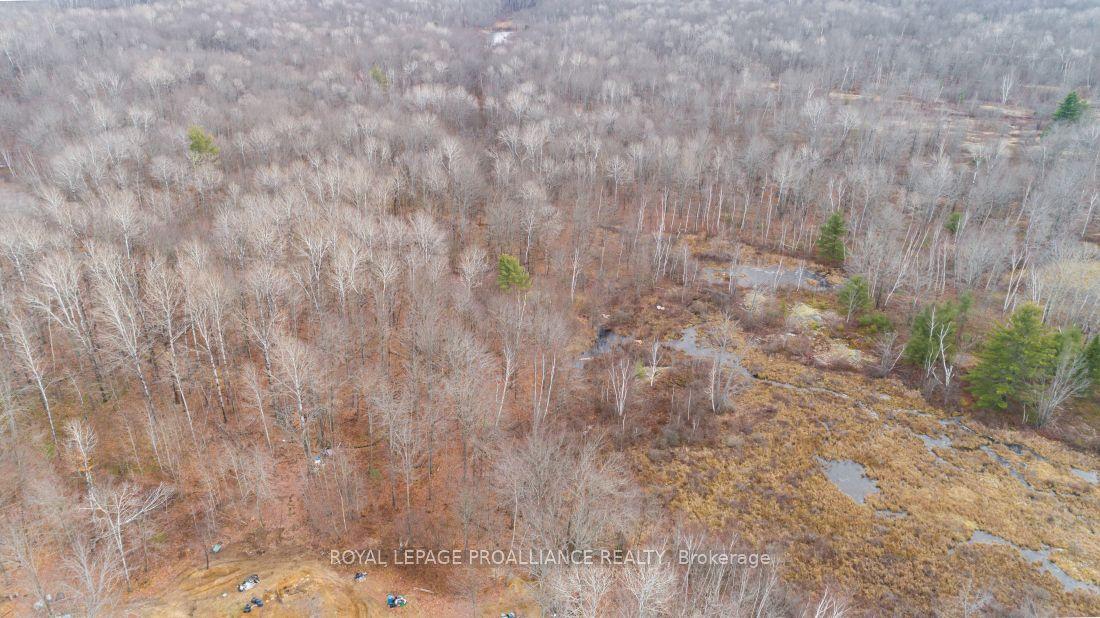 1446 Flinton Road — photo 1