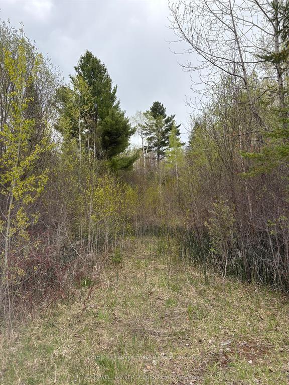 2035 Ventnor Road, Edwardsburgh/Cardinal — Land for sale, photo 1
