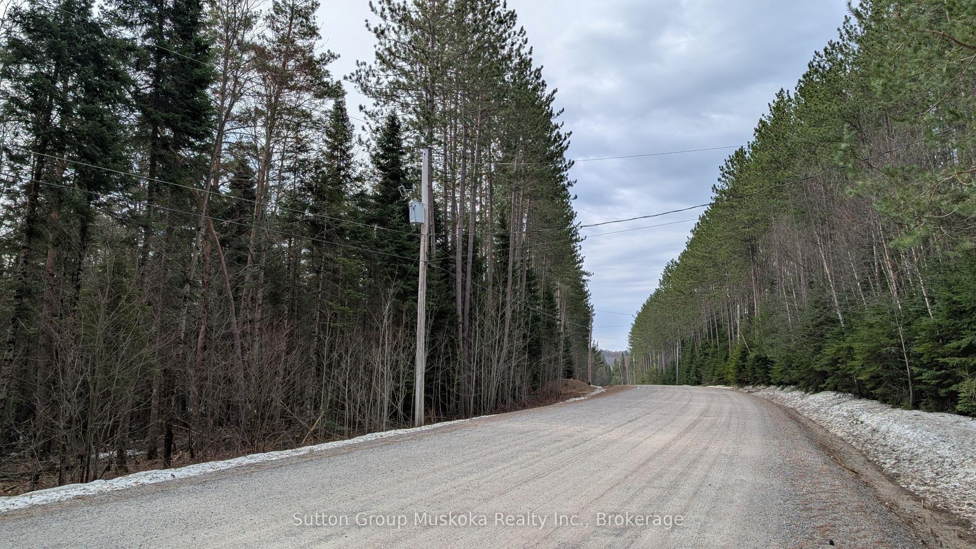 Lot 1 Red Pine Trail — photo 1