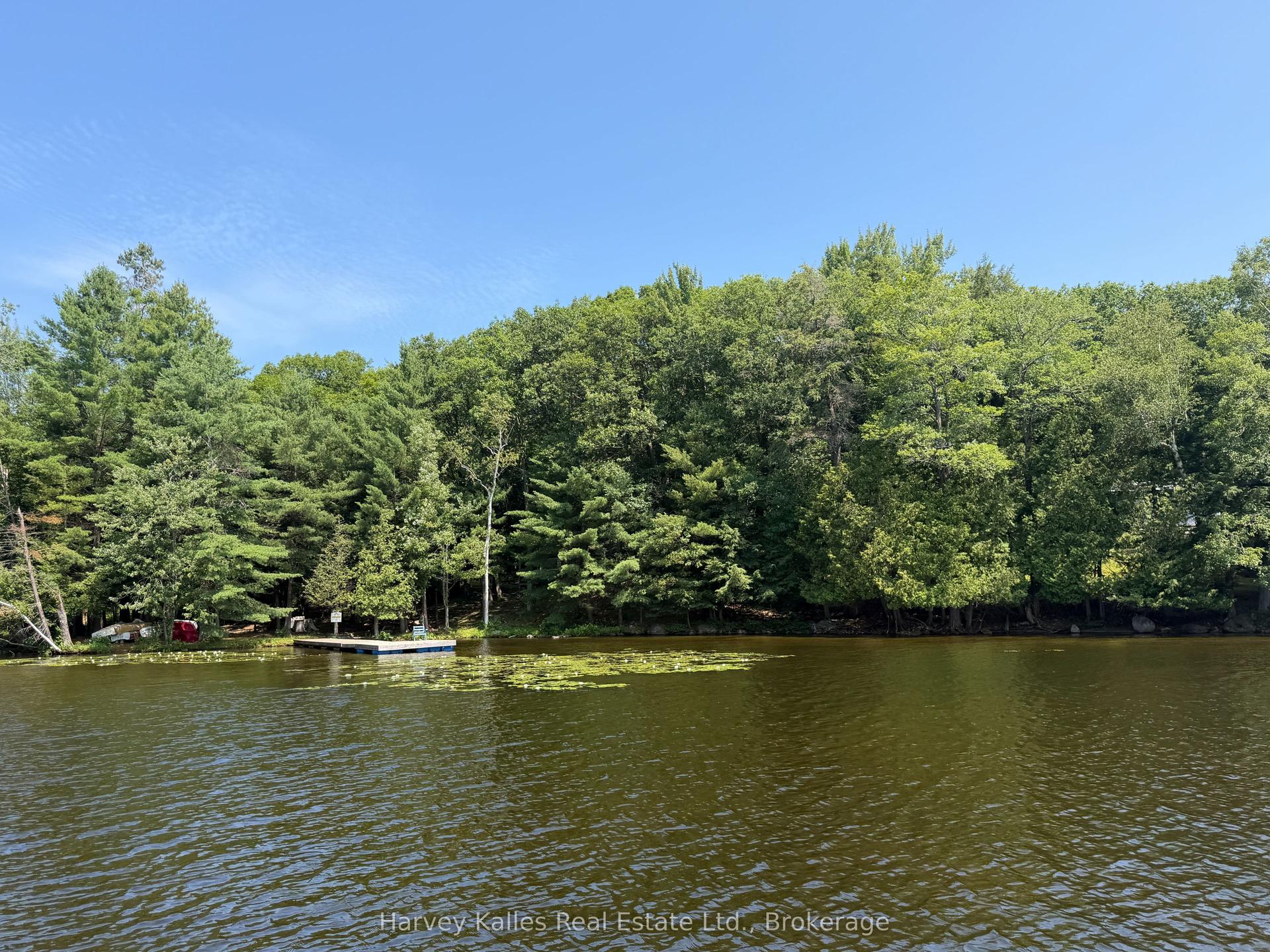1254 Barlochan Road 4 #4, Muskoka Lakes — Detached for sale, photo 1