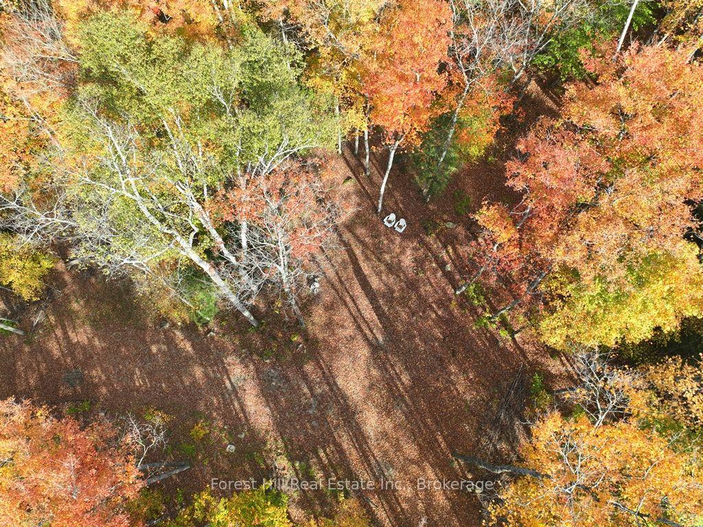 4488 Kawagama Lake Road, Algonquin Highlands — Land for sale, photo 1
