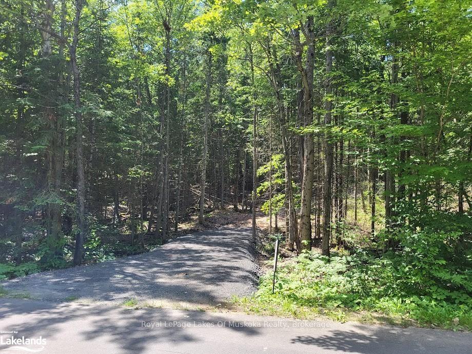 LOT 5 FAIRY FALLS Road, Lake of Bays — Land for sale, photo 1