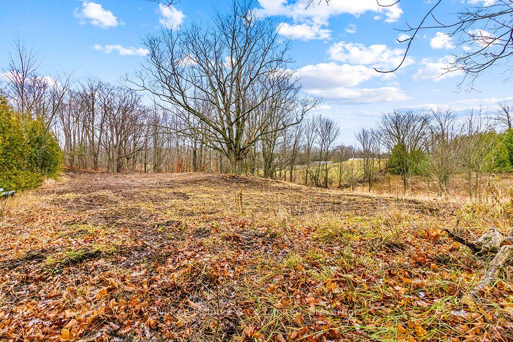 PtLt 16 5 Side Road Part 2 16R6350 #Part 2 16R6350 — photo 1