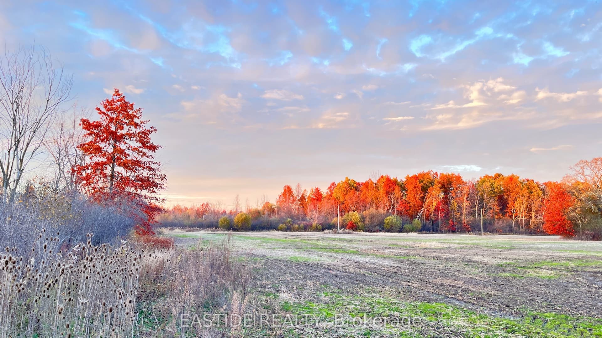 12880 Ort Road — photo 1