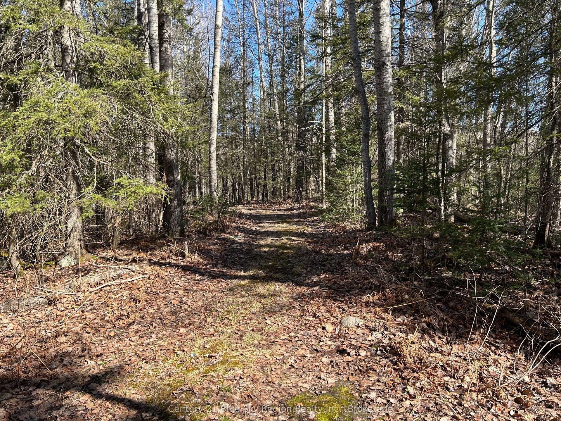 CON 9 PT LOT 17 Highway 534 N/A — photo 1
