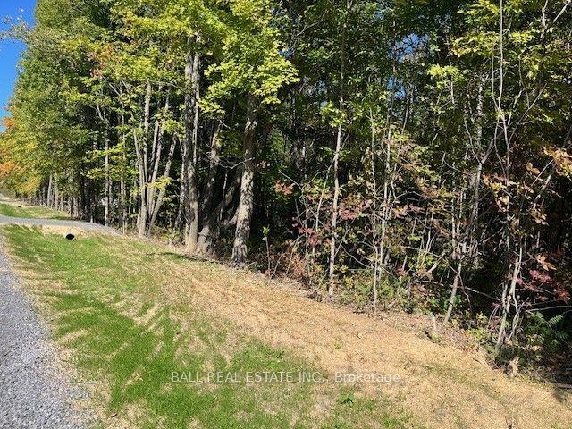Pt 33A & Pt 33B Autumn Road N, Trent Hills — Land for sale, photo 1