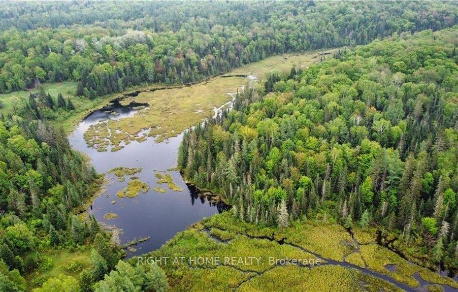 2263 Machar Strong Boundry Road, Strong — Land for sale, photo 1