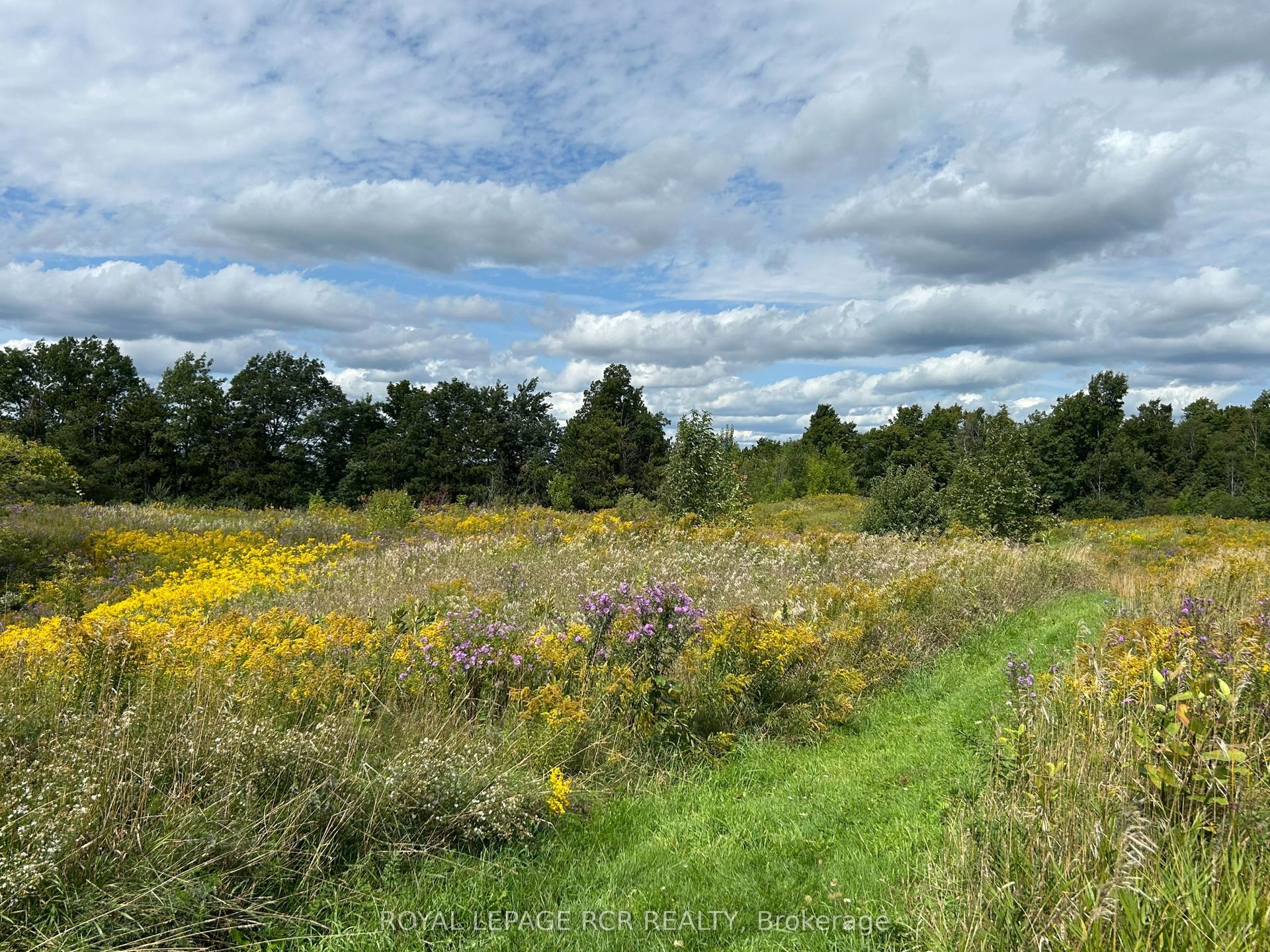 Pt2 Lt29 2nd Line, Amaranth — Land for sale, photo 1
