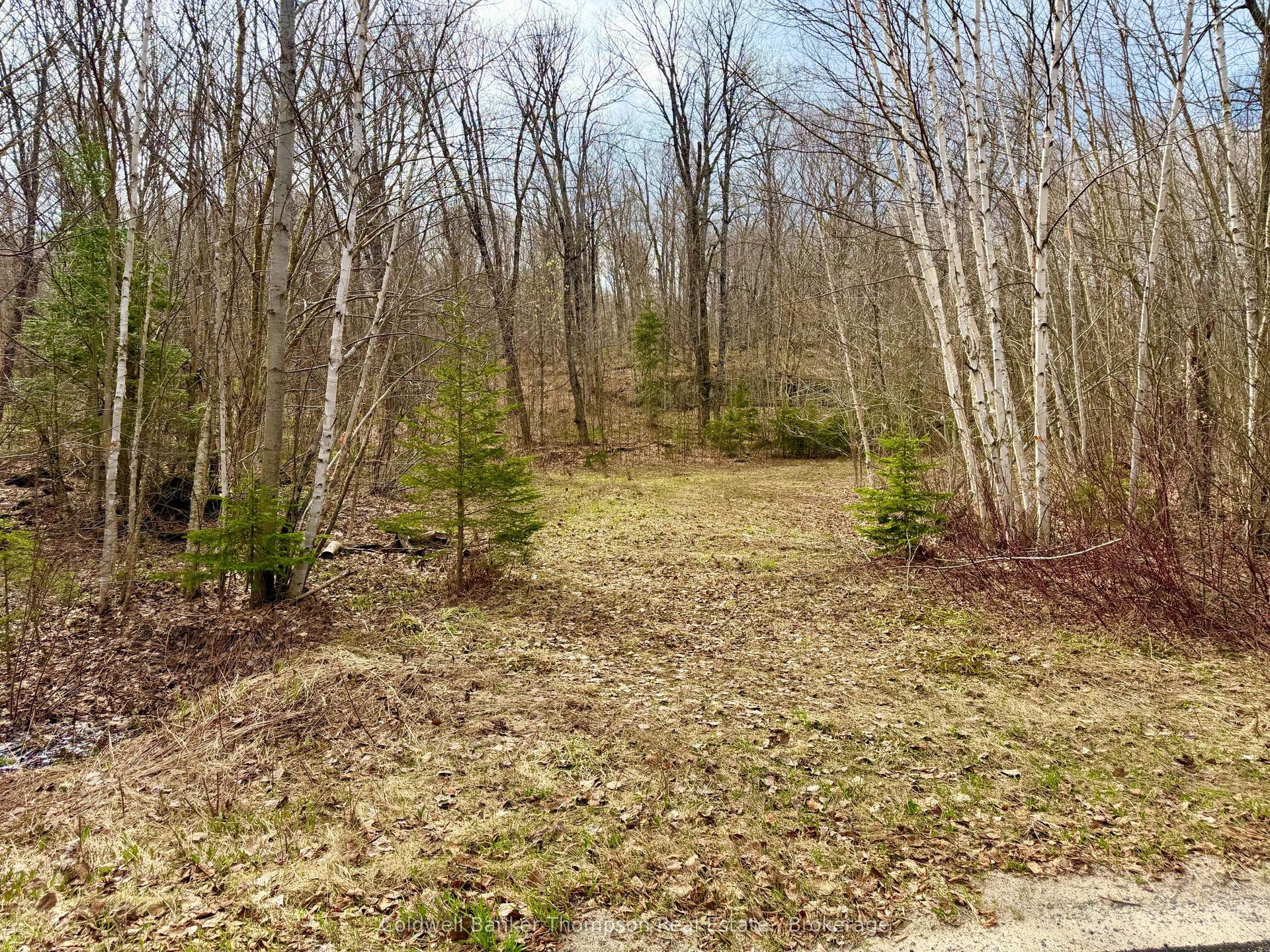 0-A S Maple Drive S — photo 1