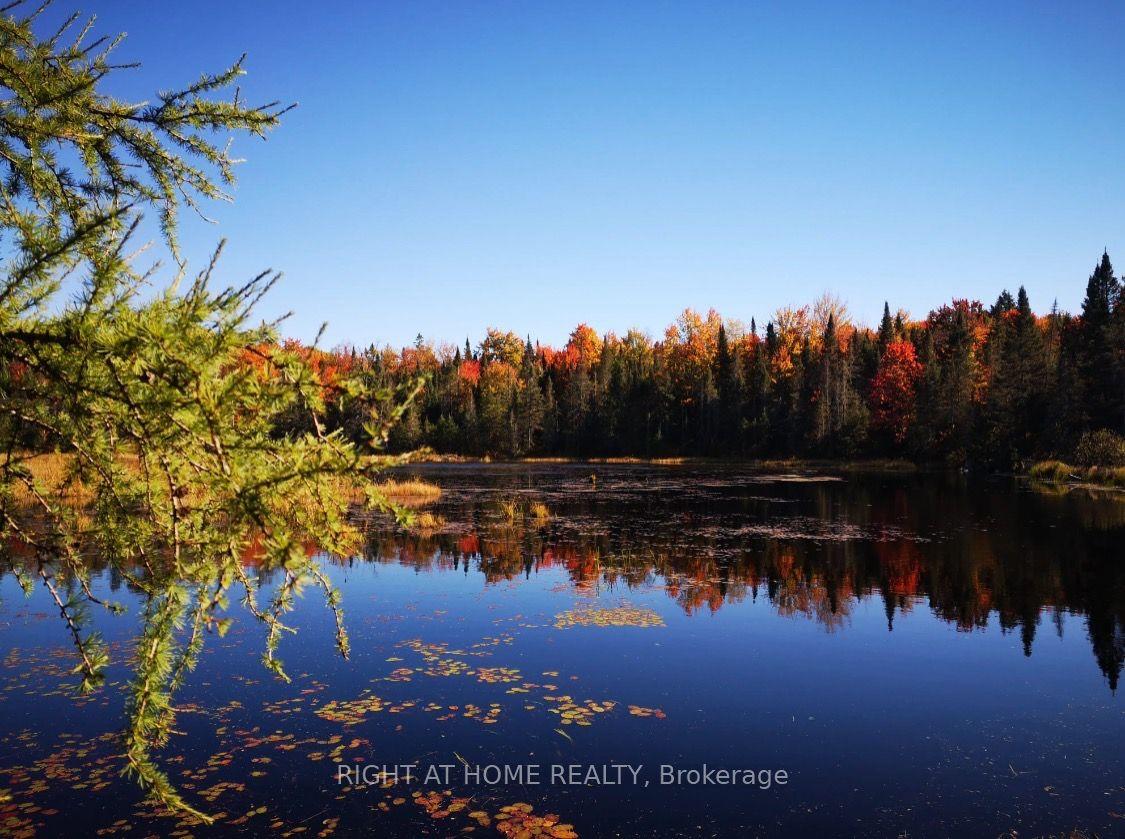 2087 Machar Strong Boundry Road, Strong — Land for sale, photo 1
