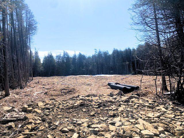 LT 2 ARMSTRONG Road, Merrickville-Wolford — Land for sale, photo 1