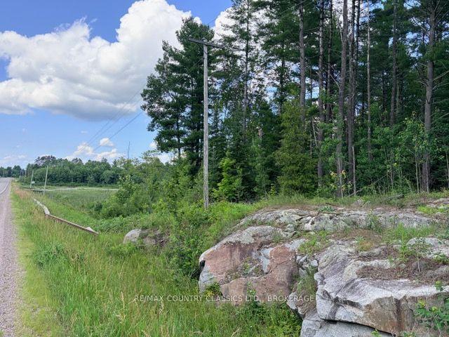 00 41 Highway, Addington Highlands — Land for sale, photo 1