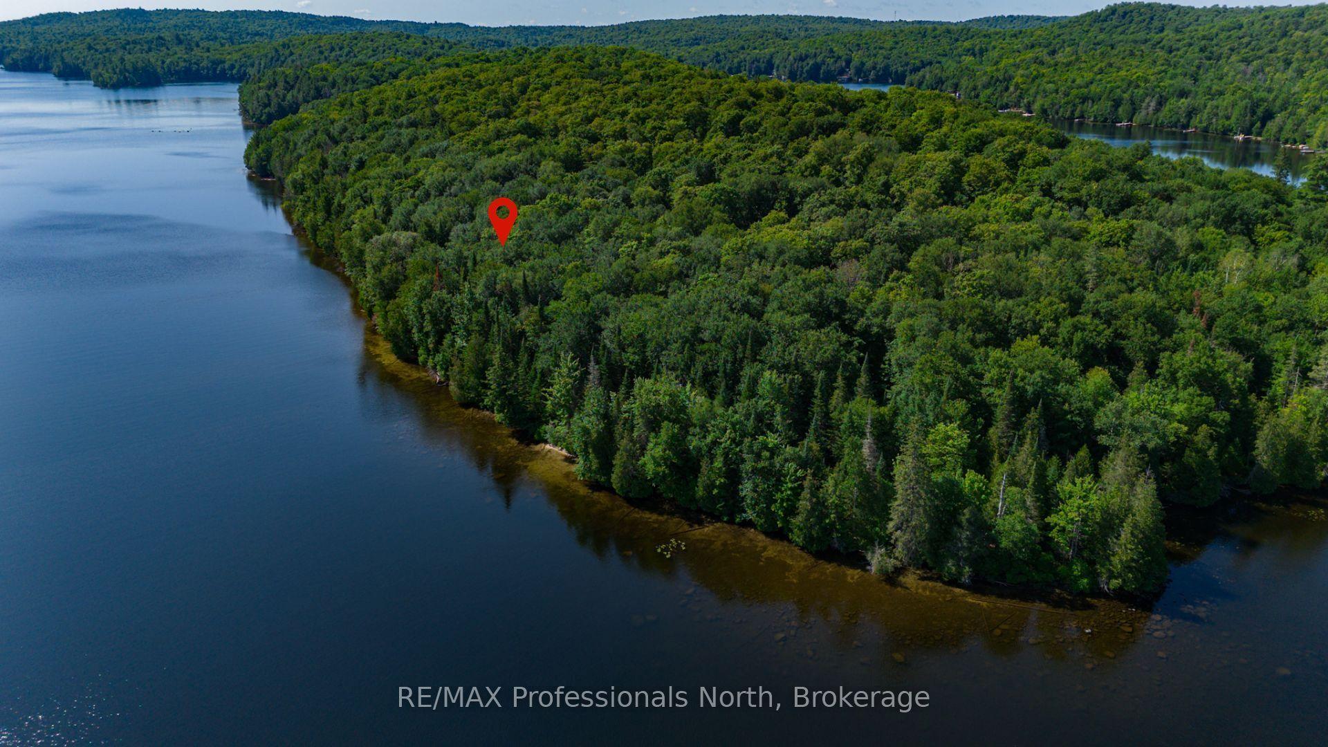 1448-1 WEST OXBOW LAKE Road, Lake of Bays — Land for sale, photo 1