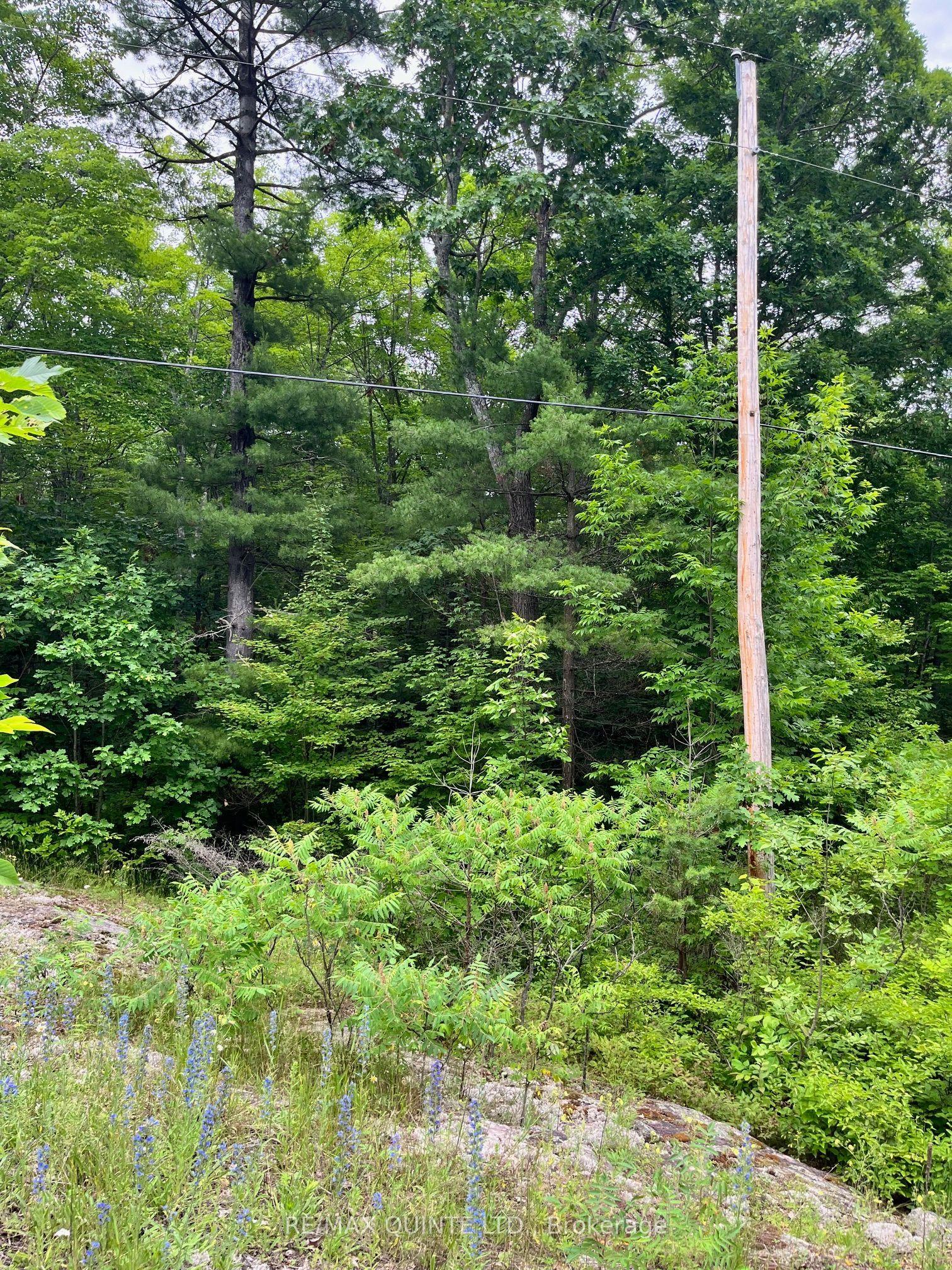 0 (PIN - 40264-0091) Potter Settlement Road — photo 1